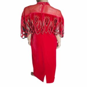 All Stone Velvet Turkey Dress (back view)