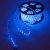 Blue LED Rope Light (2m)